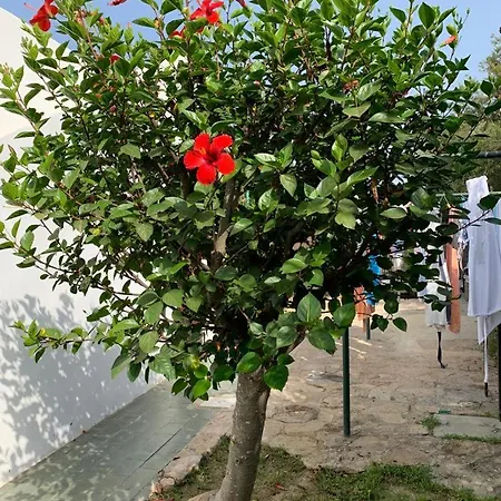 Casa Degli Gnomi Vakantiehuis *